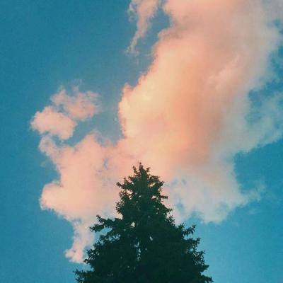 华体育会app官方下载