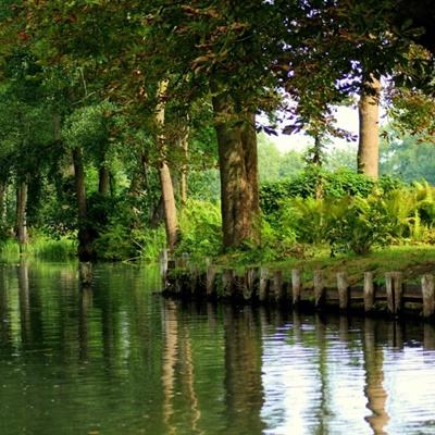 365平台官方版下载下载手机版截图