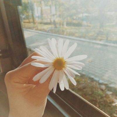 pg棋牌软件平台app下载